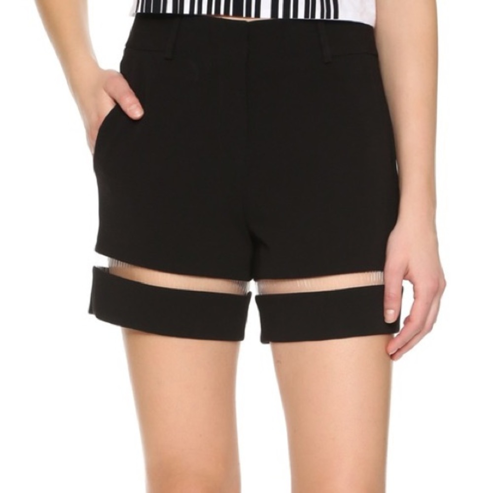 Alexander Wang Fishline Shorts in Black sz 4